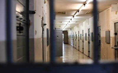 Pašování drog v konečníku. Kriminalisté v Česku odhalili vězeňskou síť pašeráků