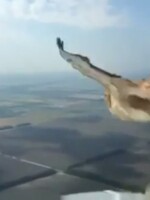 Pilot ruského Boeingu nakrútil, ako do skla v kabíne narazil vták. Lietadlo bezpečne pristálo