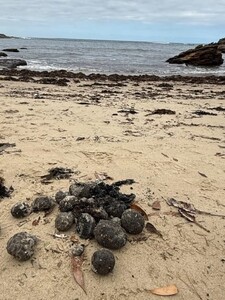 Pláže v Austrálii uzavřeli kvůli tisícům záhadných koulí. Ukázalo se, že obsahují drogy