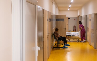 Po Európe sa šíri nebezpečná huba. Nemocnice hlásia rekordné počty prípadov