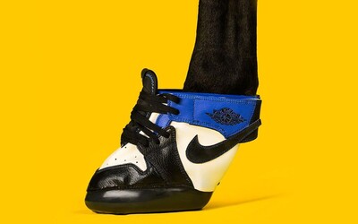 Po Kentucky se prohání hřebci v Air Jordanech. Marcus Floyd totiž vyrábí sneakers pro koně