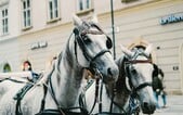 Po koloběžkách končí další dopravní prostředek. Ze Staroměstského náměstí zmizí koně