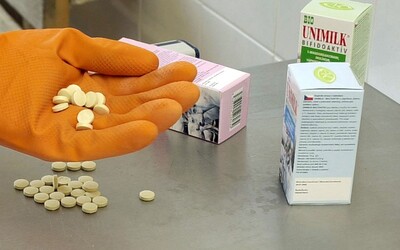 Po pandémii na Slovensku vzrástol počet alergií na psy a mačky. Novým hrozivým alergénom je ambrózia