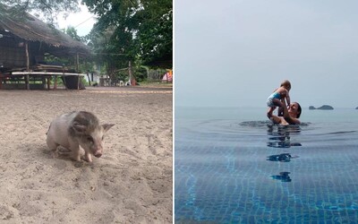 Po plážach ostrova Ko Samui pobehujú roztomilé prasiatka. Čo všetko môžeš zažiť počas luxusnej dovolenky v Thajsku? 