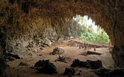 Po vstupu do jeskyně se turisté nakazili smrtícím virem, který jim rozleptal tělo. Podle WHO může způsobit další pandemii
