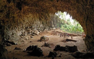 Po vstupu do jeskyně se turisté nakazili smrtícím virem, který jim rozleptal tělo. Podle WHO může způsobit další pandemii