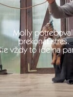 Po výcviku v dolnokubínskej Psej Škole zahynuli dva psy. Bola som sa tam pozrieť na vlastné oči