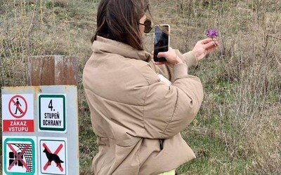 Polícia hľadá Slovenku z Instagramu, ktorá sa fotila vo 4. stupni ochrany a odtrhla zákonom chránenú rastlinu
