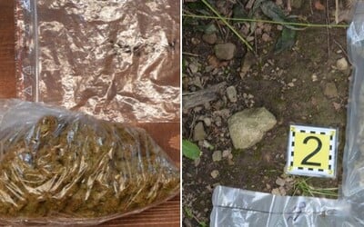Polícia našla u dvoch Slovákov veľké množstvo marihuany. Mohli z nich vyrobiť tisícky dávok