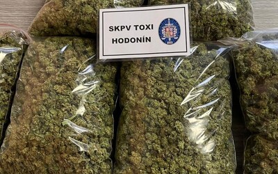 Policie na Hodonínsku odhalila 10 pěstíren marihuany. Osmi lidem hrozí až deset let vězení