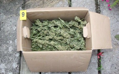Policie našla u muže z Přerovska 5,5 kila marihuany. Hrozí mu až deset let natvrdo