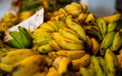 Policie našla v lodním kontejneru mezi banány téměř 8 tun kokainu