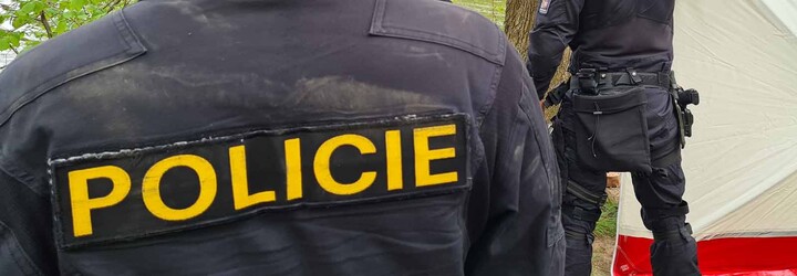 Policisté k případu v Teplicích: Zákrok byl v normě, žádná videa kolemjdoucích jsme nemazali, policejní záznamy nejsou