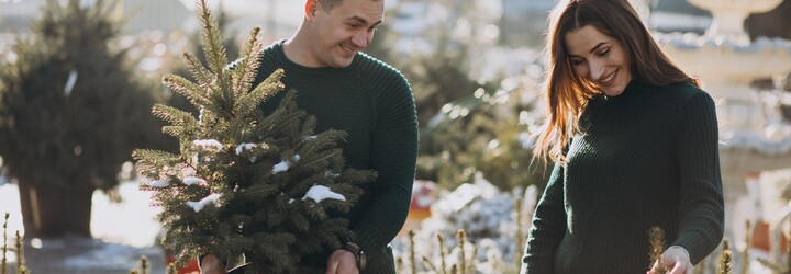 Poradíme ti, kde seženeš ekologický stromek