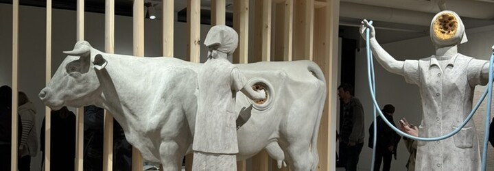 Požár v Českém Švýcarsku, první československá žirafa a videohry. Kam vyrazit na výstavu?