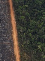 Požiare v Amazonskom pralese nie sú len o hovädzom mäse a vegánstve. Aj používanie smartfónu ničí pralesy