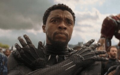 Proč byl Black Panther první, kdo se přes portál vrátil na pomoc Avengerům v souboji s Thanosem?