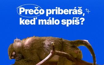Prečo priberáš, keď málo spíš? Vedec vysvetľuje, čo sa deje v našom organizme počas spánku