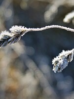 Předpověď počasí: Česko čekají další mrazivé noci. Víme, kdy se konečně oteplí