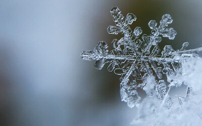 Předpověď počasí: V Česku už padal první sníh. Jaké teploty přinese příští týden?