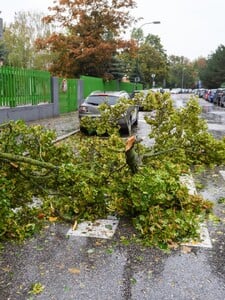 Priprav sa na extrémne silný vietor: Na západnom Slovensku meteorológovia očakávajú vietor o rýchlosti až 75 km/h