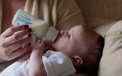 Příspěvek 5000 Kč na dítě začnou úřady žadatelům vyplácet 24. srpna, uvedl Jurečka