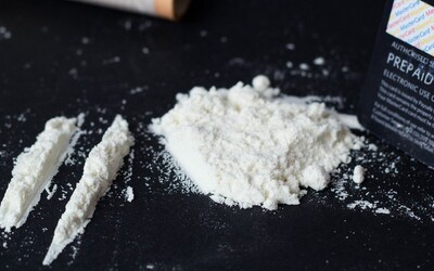 Produkce kokainu boří rekordy, v Evropě vznikají nová centra pašování