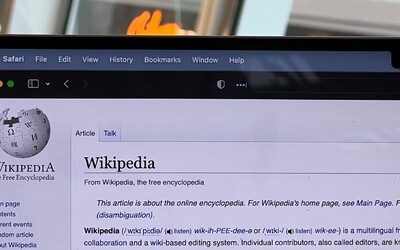 Prohlédni si nejčastější vyhledávání na Wikipedii v roce 2023. Některé výsledky tě určitě překvapí