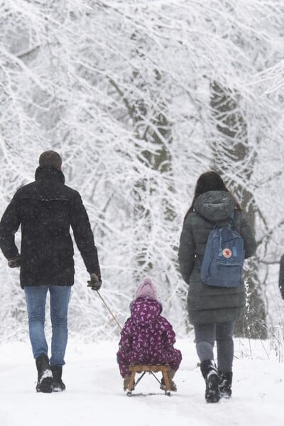 První předpověď na zimu: Meteorologové popsali, jaké budou Vánoce. Jejich vyhlídky tě nepotěší