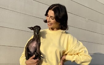 REBRÍČEK: Toto sú údajne najkrajšie psie plemená na svete. Nájdeš medzi nimi aj toho svojho?