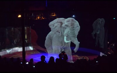Rakouský cirkus používá místo zvířat hologramy. Jeho majitelka nesnáší týrání