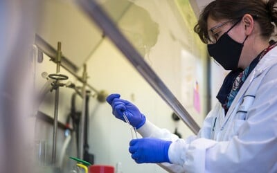 Ředitel americké FBI naznačil, že koronavirus unikl z čínské laboratoře. Čína mluví o politické manipulaci
