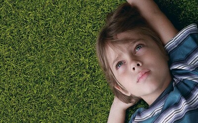 Režisér drámy Boyhood plánuje svoj ďalší film natáčať celých 20 rokov