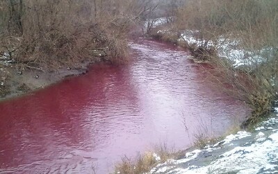 Řeka ve městě na Sibiři se ze dne na den zbarvila do ruda. Ruské úřady zatím vysvětlení nenašly