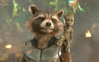 Rocket Raccoon bude dôležitou časťou príbehu Guardians of the Galaxy 3. Dozvieme sa viac o jeho minulosti a jazvách
