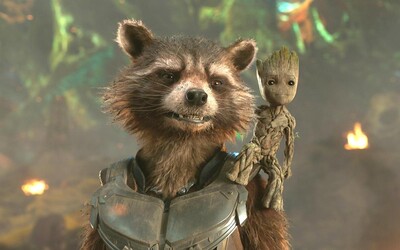 Rocket Raccoon bude důležitou částí příběhu Guardians of the Galaxy 3. Dozvíme se více o jeho minulosti a jizvách