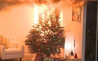 Rodine v Bánovciach nad Bebravou zhorel v noci na Troch kráľov vianočný stromček. Škodu vyčíslili na 25 000 €