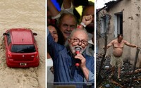 Rok 2022 v ekológii: útoky jedlom v galériách, európska solárna revolúcia aj koniec „drevorubača“ Bolsonara