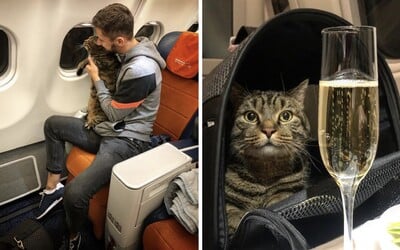 Ruská mačka bola príliš tučná. Jej majiteľ preto zohnal dvojníka, aby ju dostal do lietadla