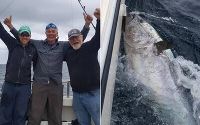 Rybář chytil 270kilového tuňáka v hodnotě 77 milionů korun, vrátil ho zpět do moře