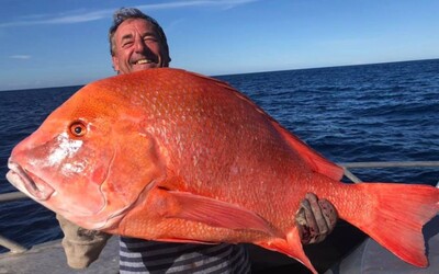 Rybář chytil rekordní úlovek, který sotva udržel. Více než metrovou rybu tahal z vody přes 20 minut