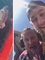 Rybári odrezali chvost žraloka a smiali sa, že má problémy plávať. Jason Momoa chcel mužom fyzicky ublížiť