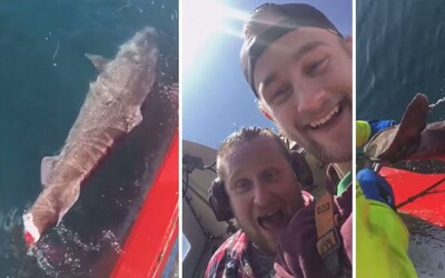 Rybári odrezali chvost žraloka a smiali sa, že má problémy plávať. Jason Momoa chcel mužom fyzicky ublížiť