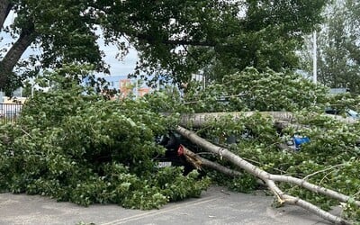 SHMÚ vydal výstrahu 1. stupňa: Vo viacerých okresoch Slovenska hrozí silný vietor až víchrica