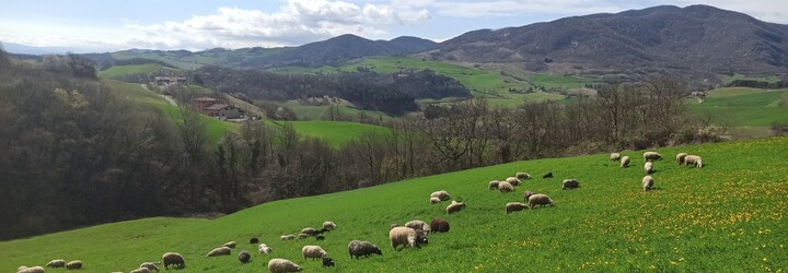 Šárka chová včely a farmaří na italském venkově. „Místní si vás musí oťukat, cizincům nejprve dají podřadnou práci,“ říká