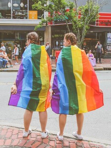 Senát umožnil přijetí nových pravidel pro partnerství stejnopohlavních párů