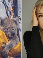 Separ aj Moma vyzývajú Slovákov, aby pomohli v boji s požiarmi a záchranou zvierat v Austrálii. Speváčka Pink venovala 500-tisíc