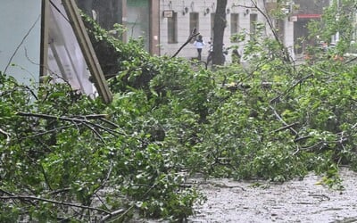 Sever Slovenska zasiahne silná víchrica. Vietor dosiahne rýchlosť až 135 km/h