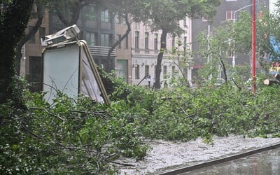 Sever Slovenska zasiahne silná víchrica. Vietor dosiahne rýchlosť až 135 km/h