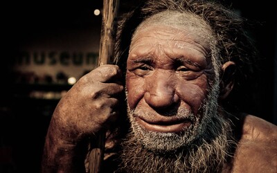 Si potomkom neandertálca? Vedci prezradili, podľa čoho sa to dá zistiť